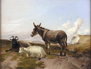 Sur les Downs - Thomas Sidney Cooper